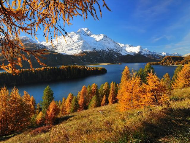 如何進(jìn)行市場(chǎng)調(diào)查：你真正需要知道的